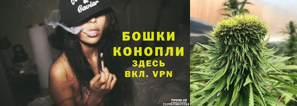 ПСИЛОЦИБИНОВЫЕ ГРИБЫ Белокуриха