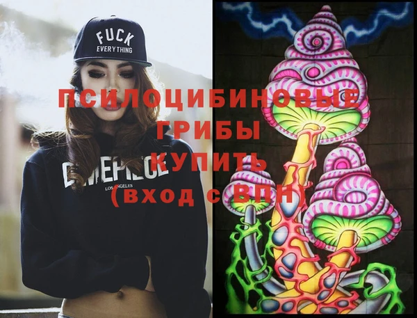 ПСИЛОЦИБИНОВЫЕ ГРИБЫ Белоозёрский