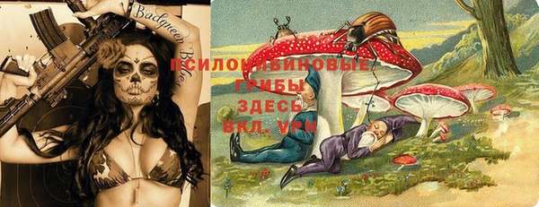 ПСИЛОЦИБИНОВЫЕ ГРИБЫ Белоозёрский