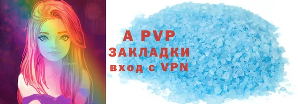ПСИЛОЦИБИНОВЫЕ ГРИБЫ Белокуриха
