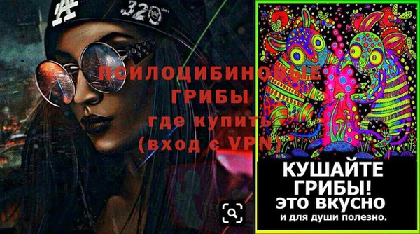 ПСИЛОЦИБИНОВЫЕ ГРИБЫ Белоозёрский