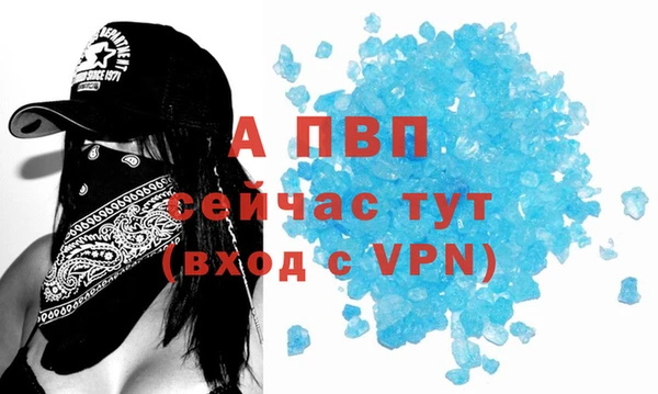 ПСИЛОЦИБИНОВЫЕ ГРИБЫ Белокуриха