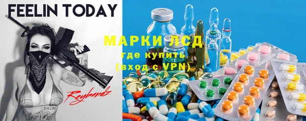 ПСИЛОЦИБИНОВЫЕ ГРИБЫ Белокуриха