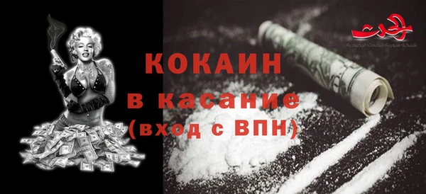 ПСИЛОЦИБИНОВЫЕ ГРИБЫ Белокуриха