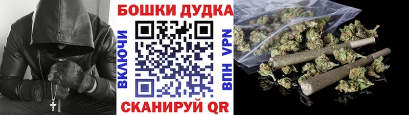 Купить где  Сердобск  Канабис ГИДРОПОН 